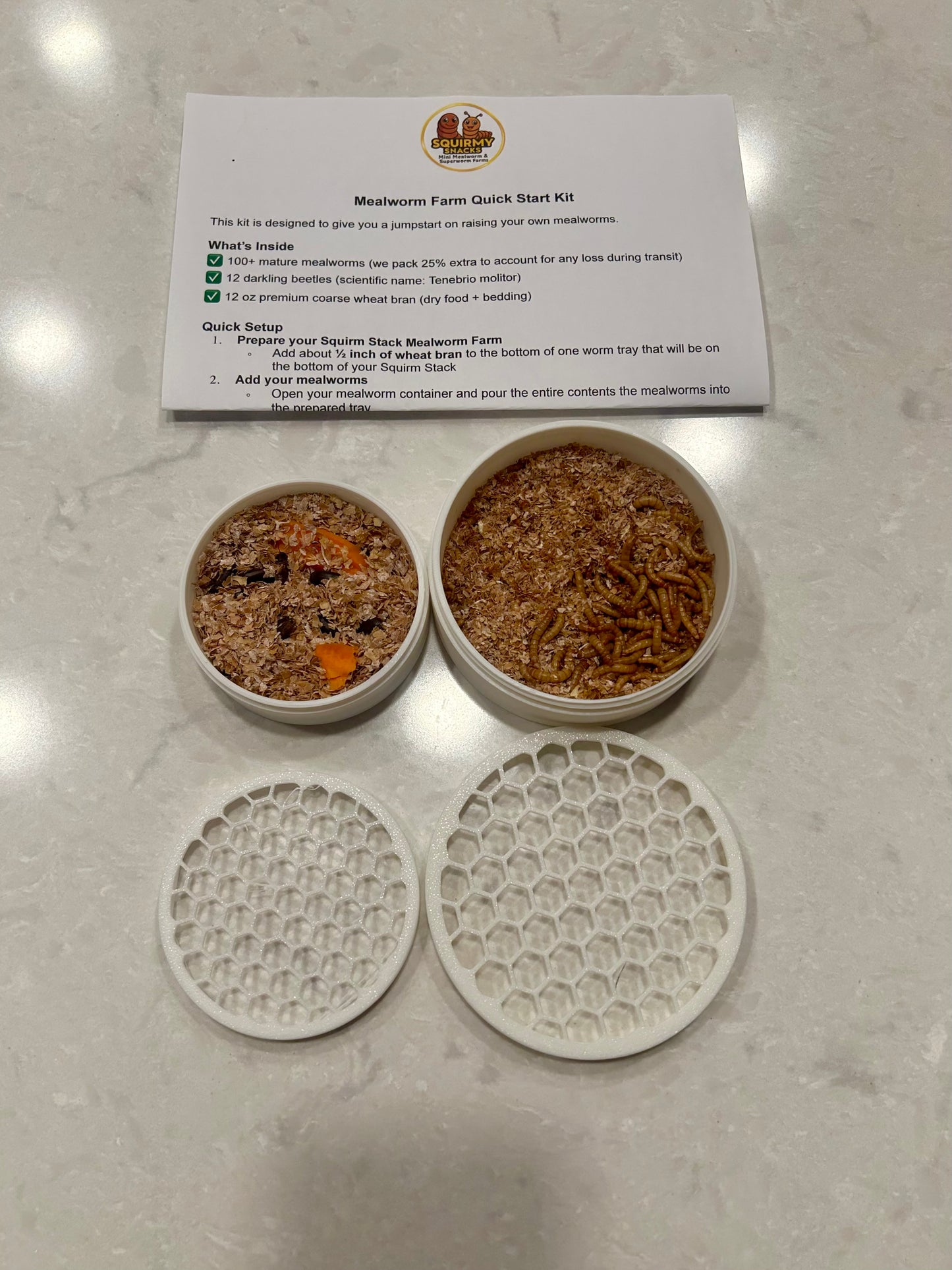 Mealworm Colony Quick Start Kit