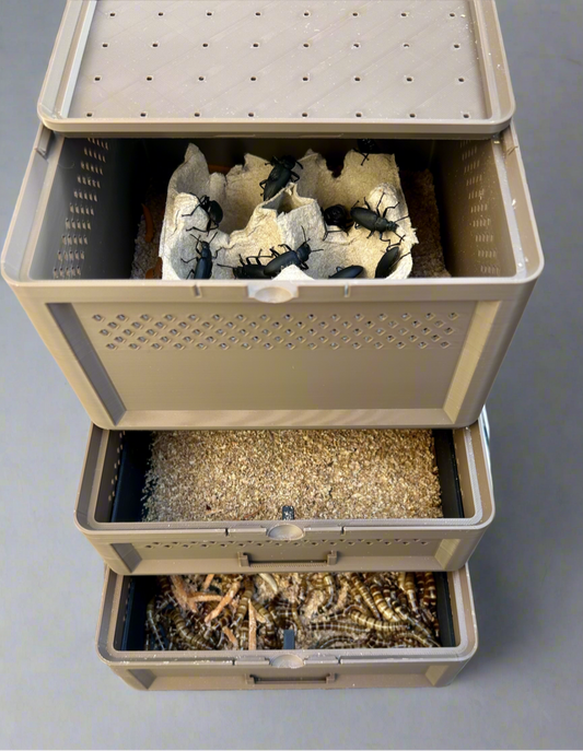 3-Tier Superworm Squirm Stack System