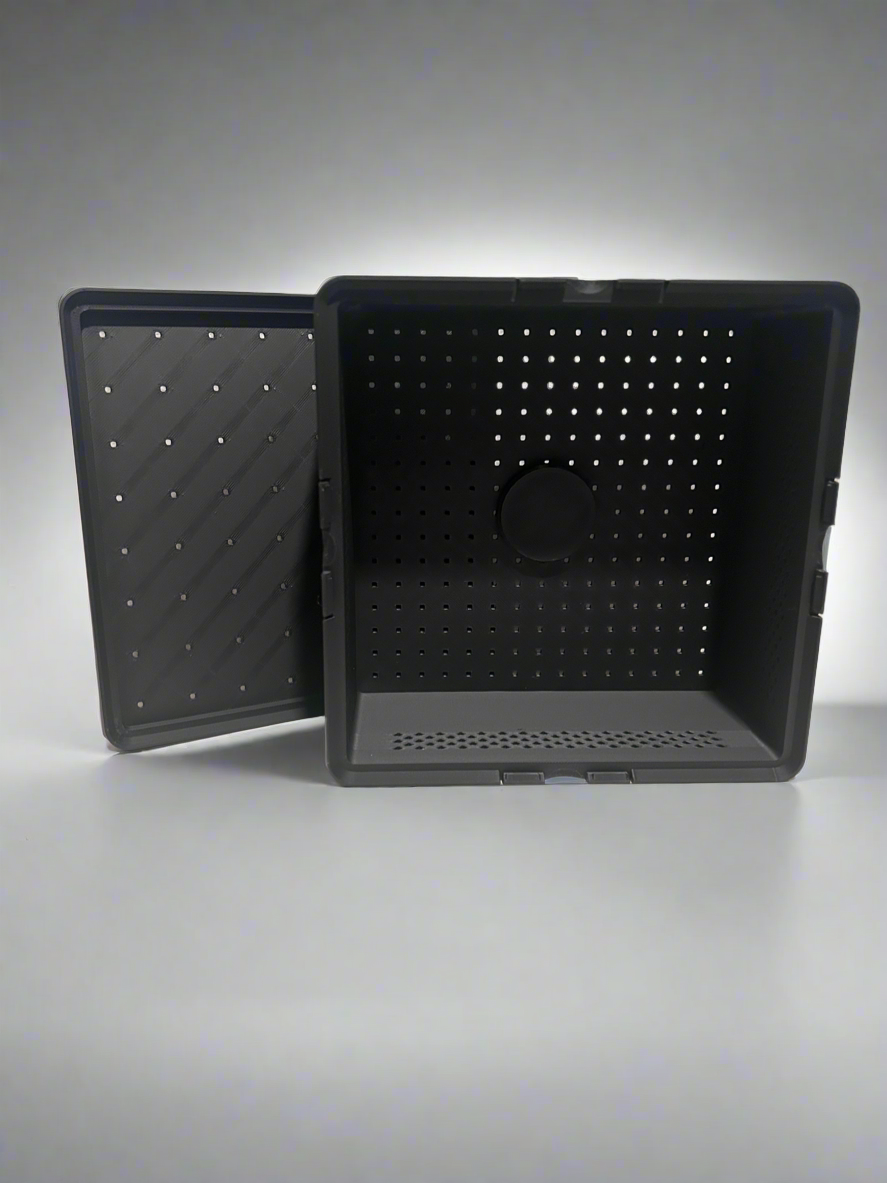 Additional Beetle Bin with Lid