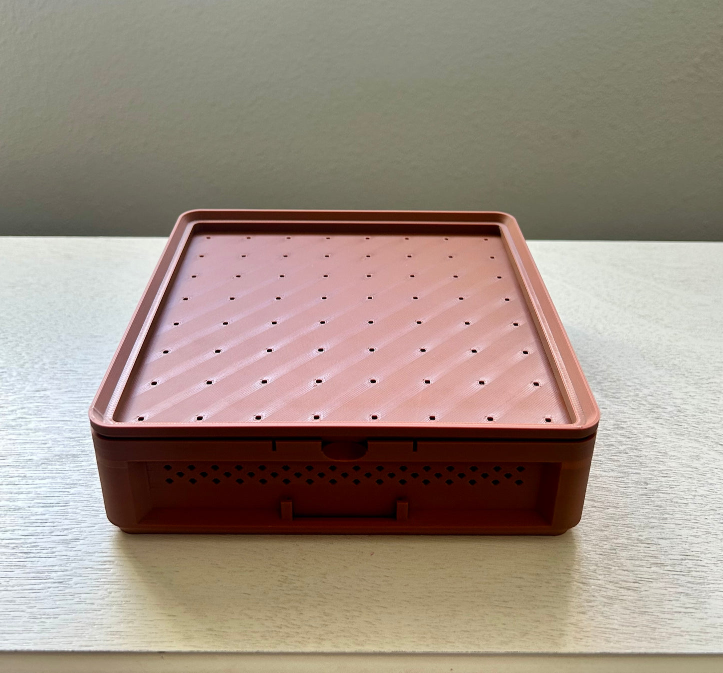 Superworm Pupation Station (25 slots) Easy Isolation System