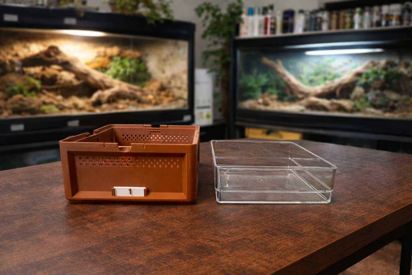 Add-on Superworm- Tray with Acrylic Insert