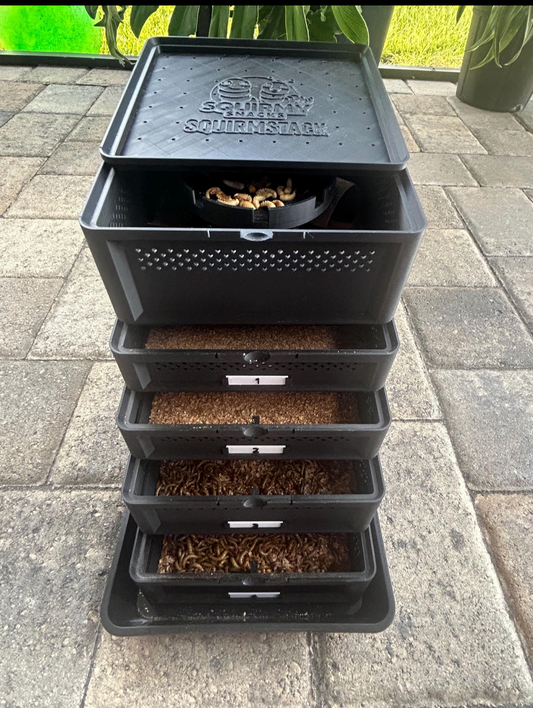 SquirmStack MAX – 5-Tier Mealworm Farm