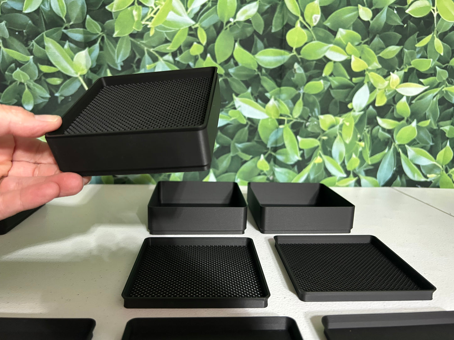 The Cricket Egg Guardian Lay Bin System