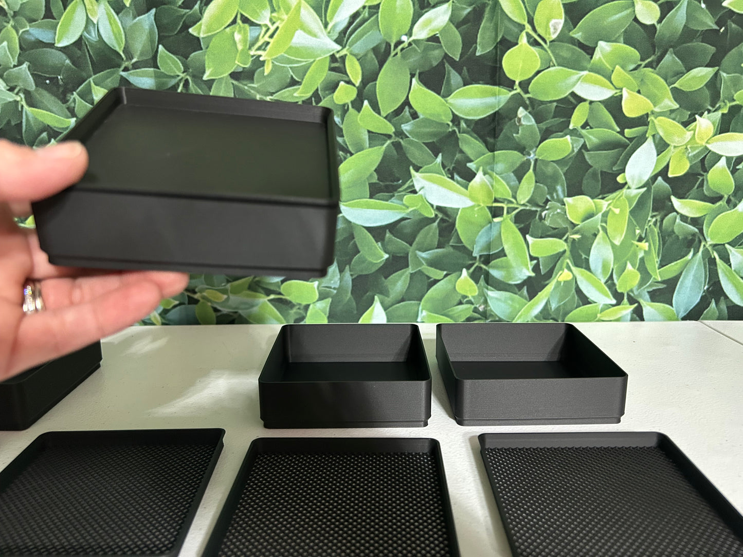 The Cricket Egg Guardian Lay Bin System