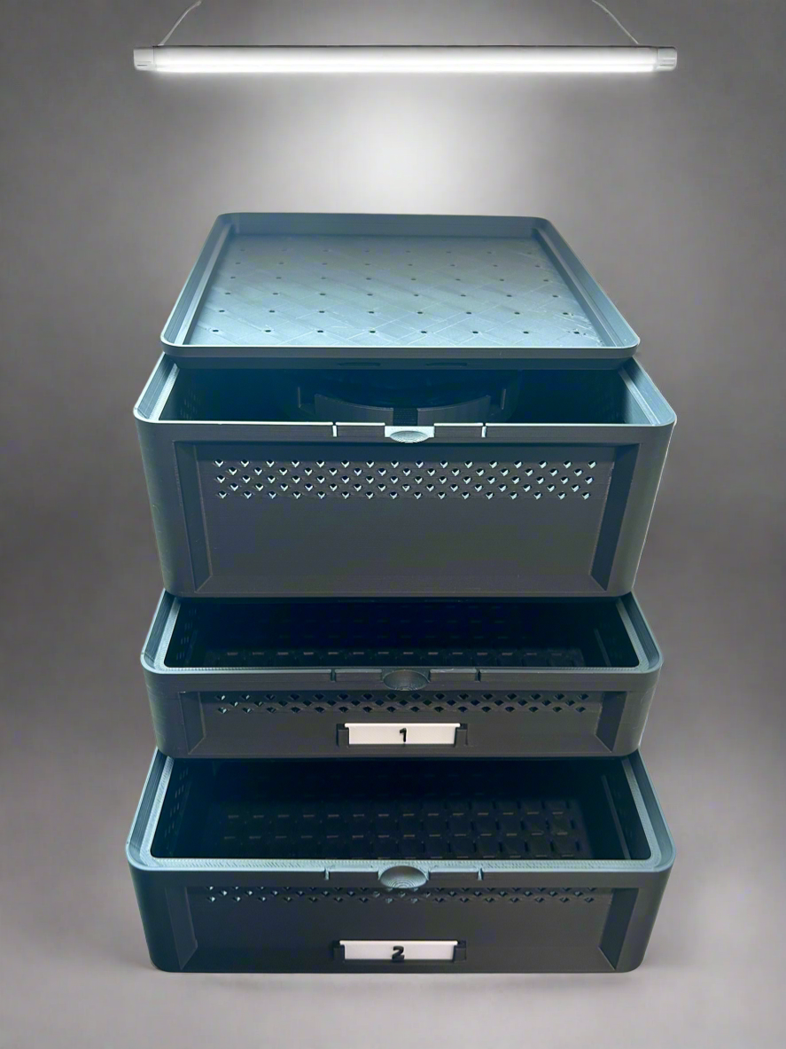 3-Tier Mealworm Squirm Stack System