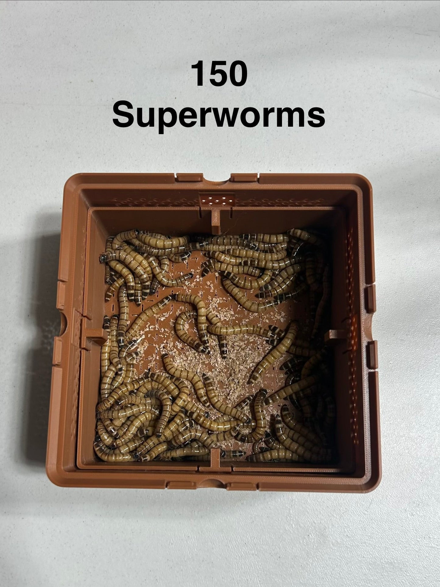 3-Tier Superworm Squirm Stack System