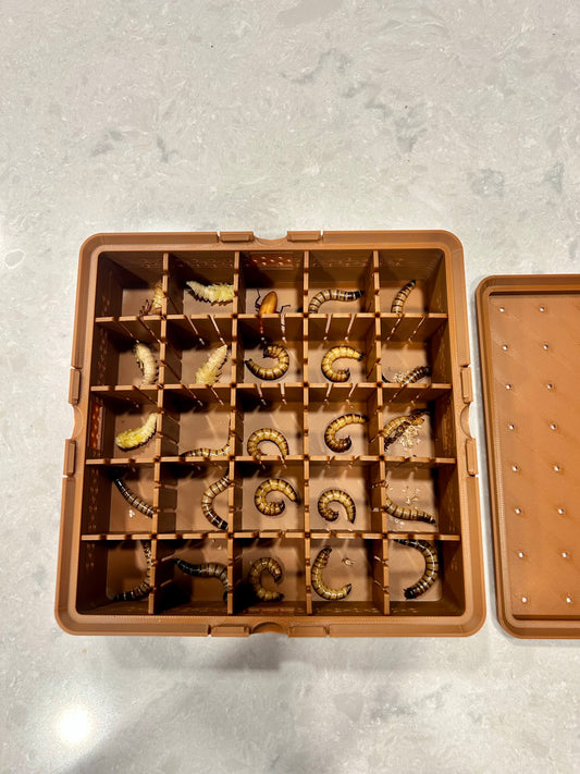 Superworm Pupation Station (25 slots) Easy Isolation System