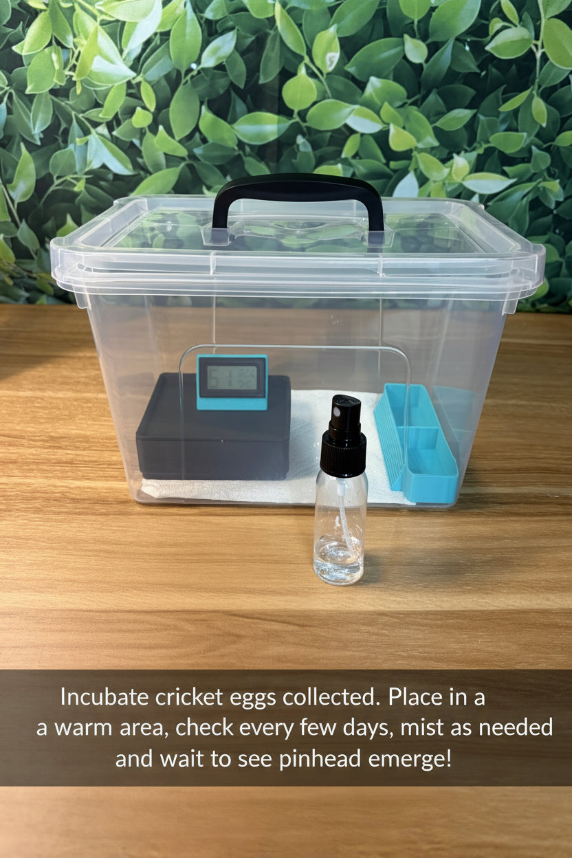 Cricket Egg Guardian™ Complete Breeding & Hatching System