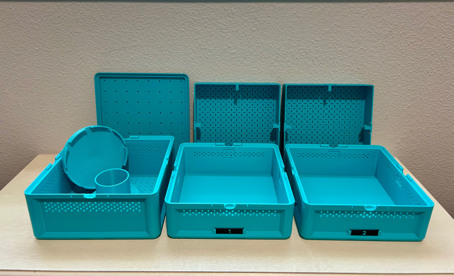 Complete Mealworm Farm Starter Bundle: SquirmStack + Beetles & Mealworms + Wheat Bran