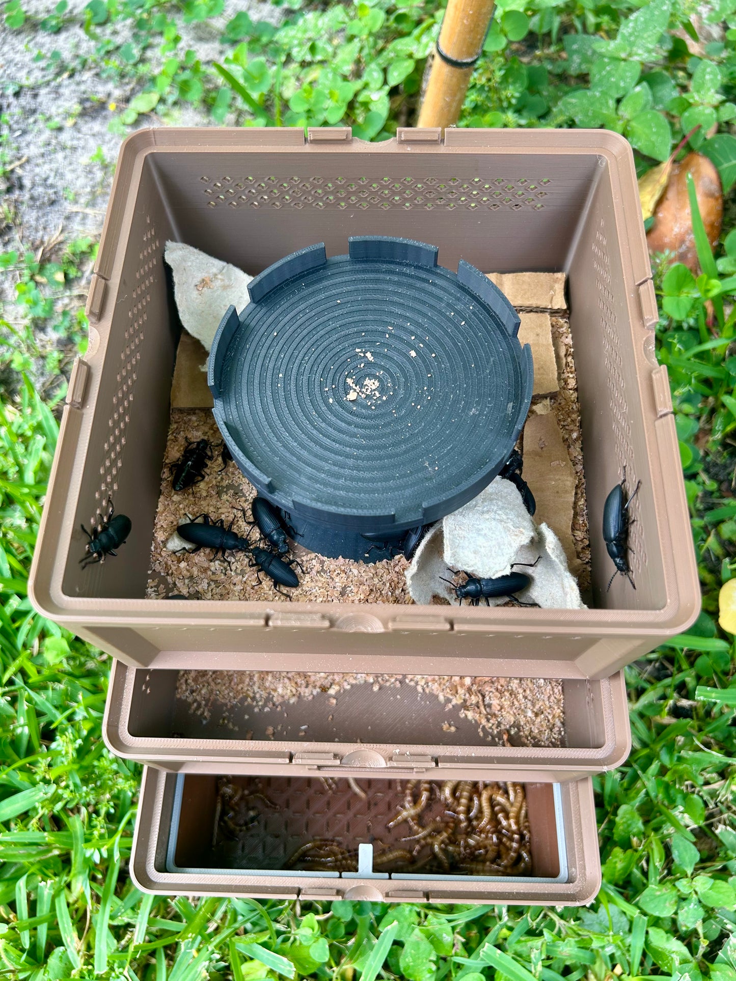 3-Tier Superworm Squirm Stack System