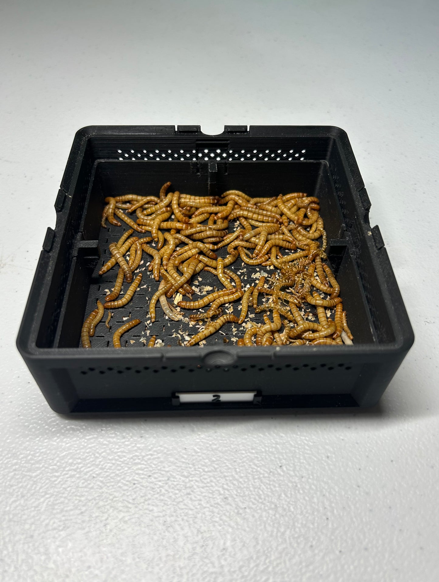 Micro Mealworm SquirmStack- Mealworm Farm/Colony