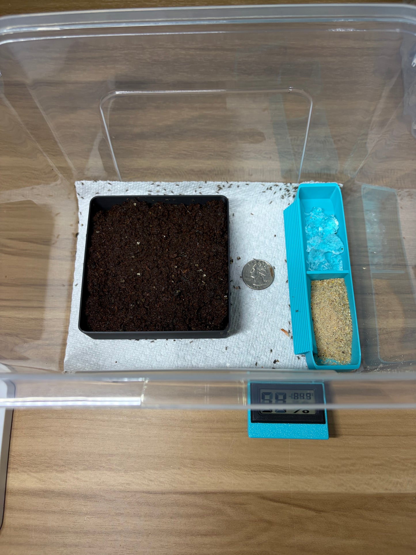 Cricket Egg Guardian™ Complete Breeding & Hatching System