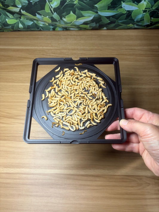 Pupae Penthouse for Mealworm SquirmStack | Pupae Nursery & Beetle Bin Space Upgrade | Mealworm Breeding Accessory