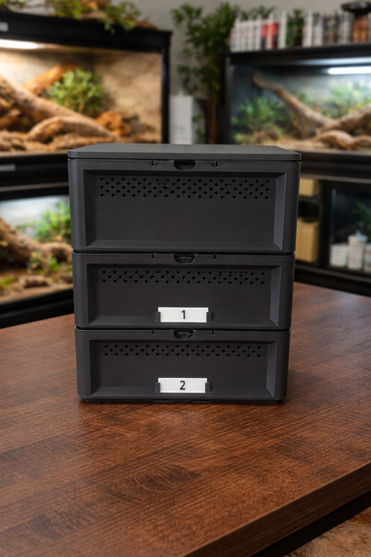 3-Tier Mealworm Squirm Stack System