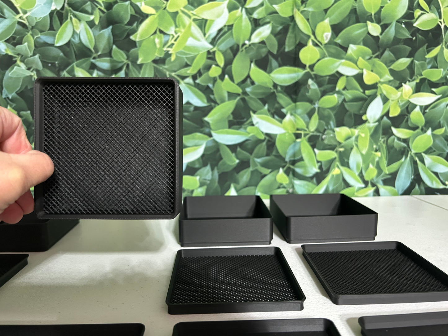 The Cricket Egg Guardian Lay Bin System