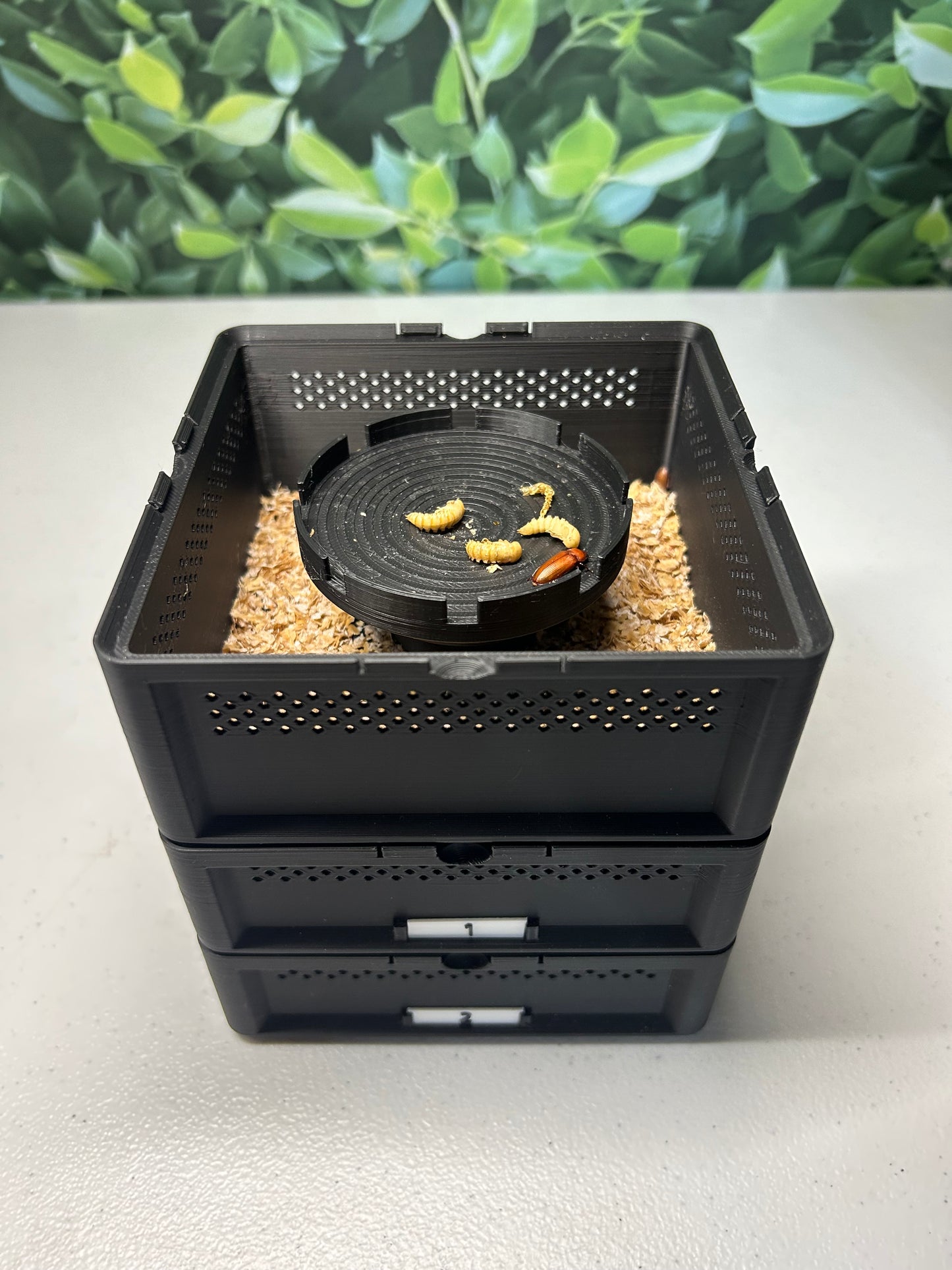 Micro Mealworm SquirmStack- Mealworm Farm/Colony