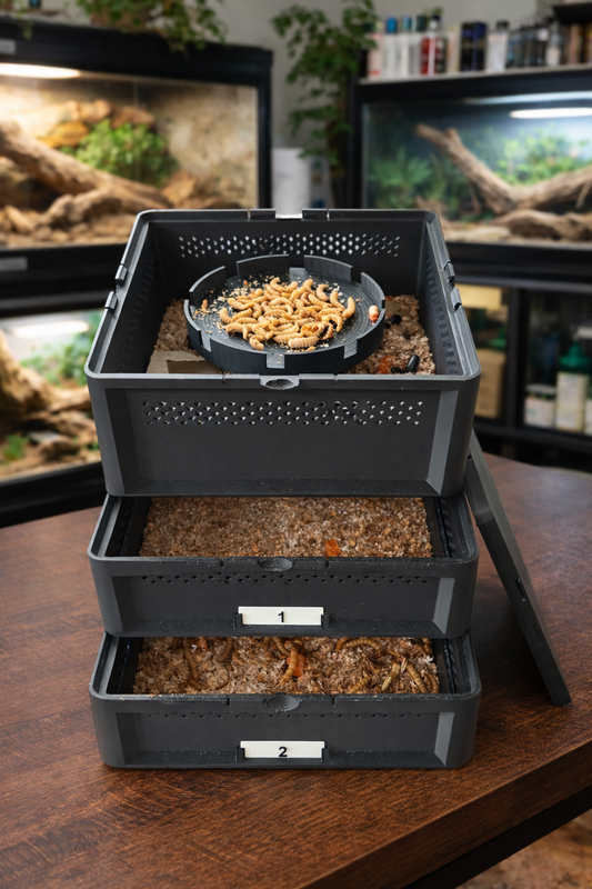 3-Tier Mealworm Squirm Stack System