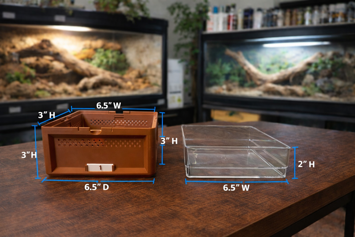 Superworm Container Rack Add-on Superworm- Tray with Acrylic Insert â SquirmySnacks