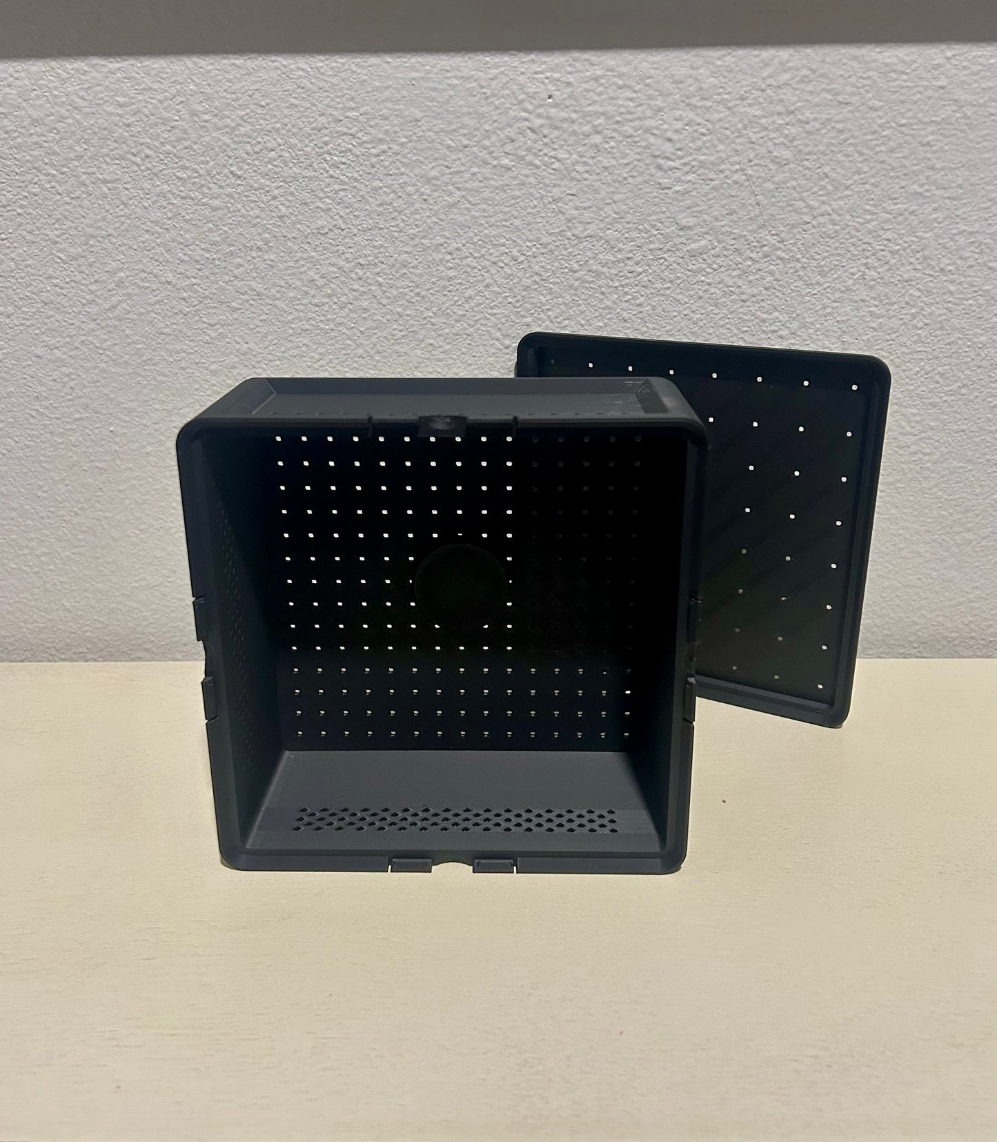 Complete Mealworm Farm Starter Bundle: SquirmStack + Beetles & Mealworms + Wheat Bran