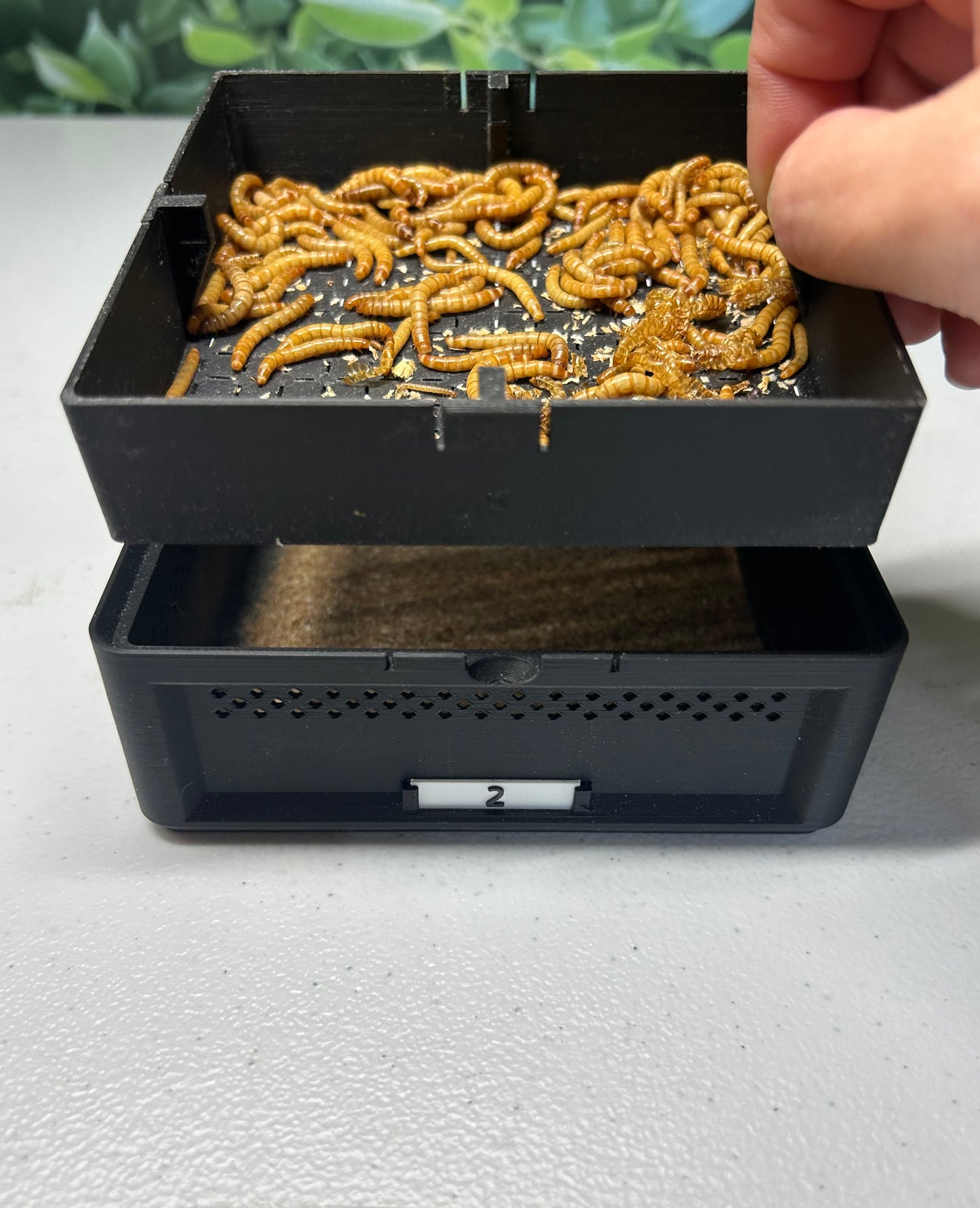 Micro Mealworm SquirmStack- Mealworm Farm/Colony