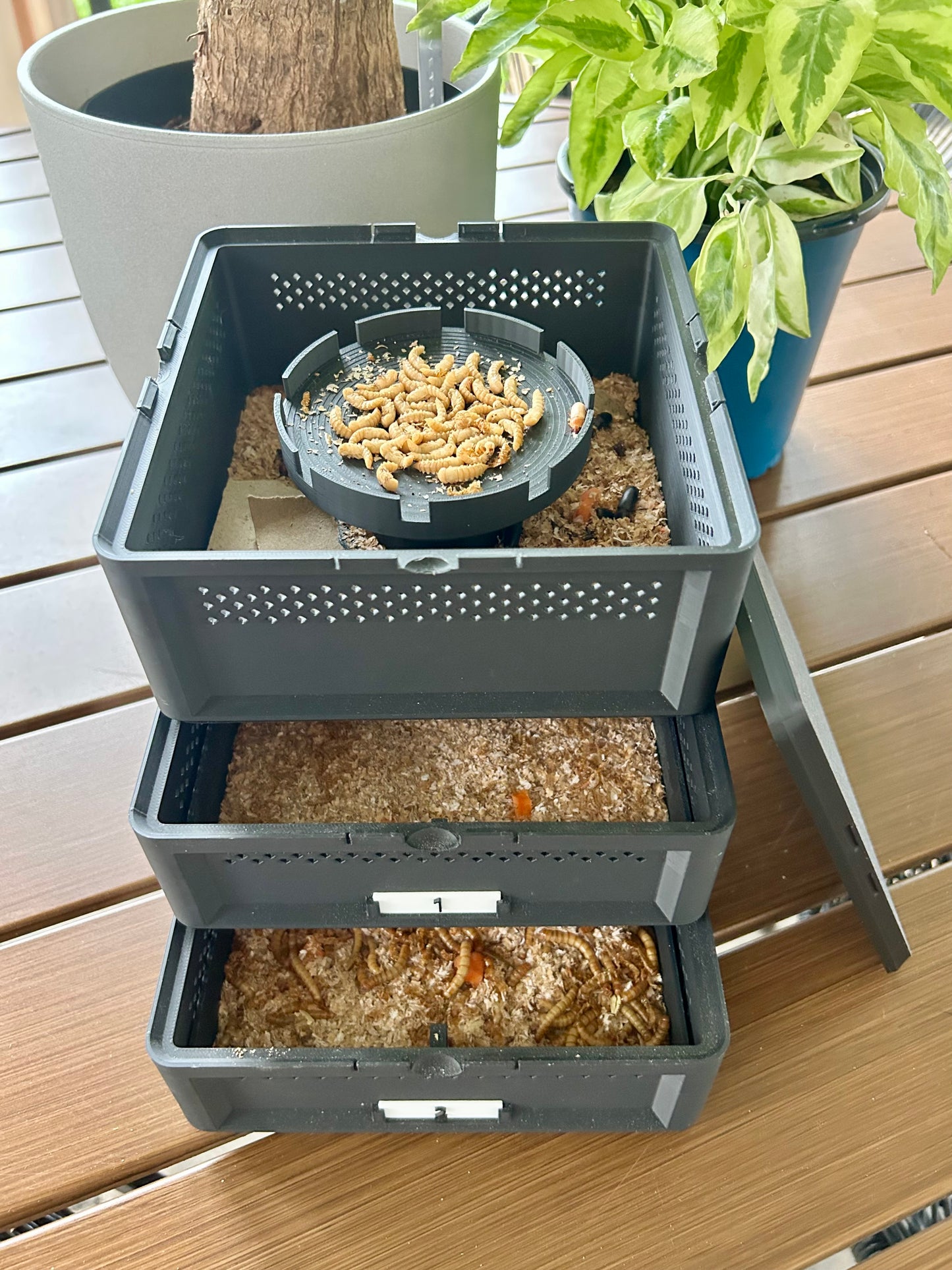 3-Tier Mealworm Squirm Stack System