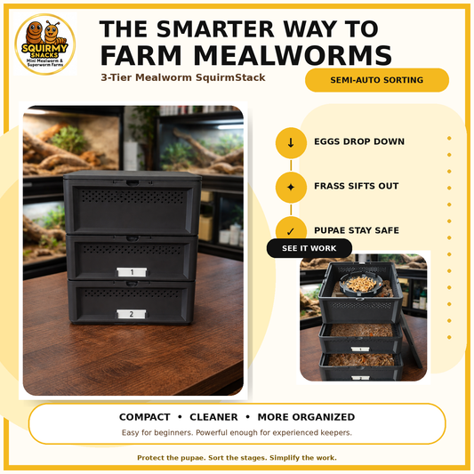 3-Tier Mealworm Breeding Farm System